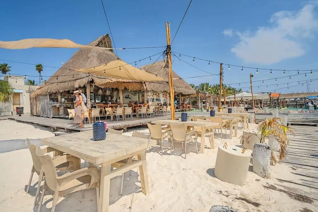 An Island Of Your Own On The Island - The Elegance Apartment Isla Mujeres