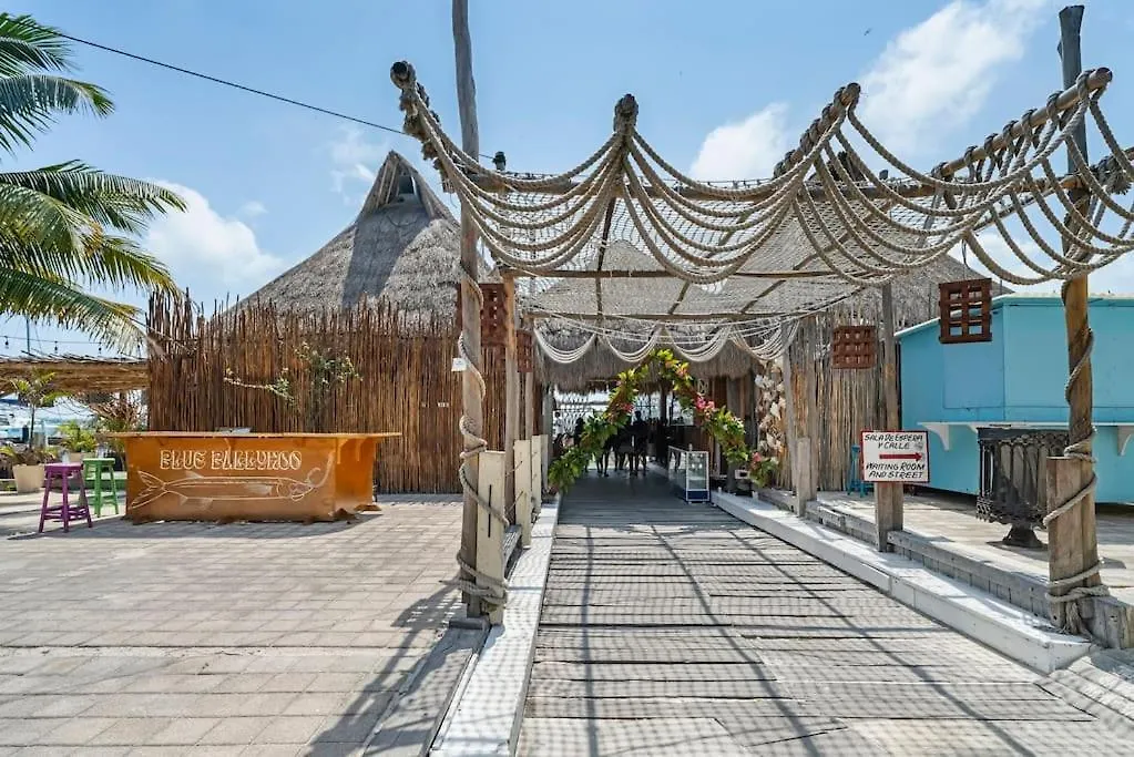 An Island Of Your Own On The Island - The Elegance Apartment Isla Mujeres 0*,