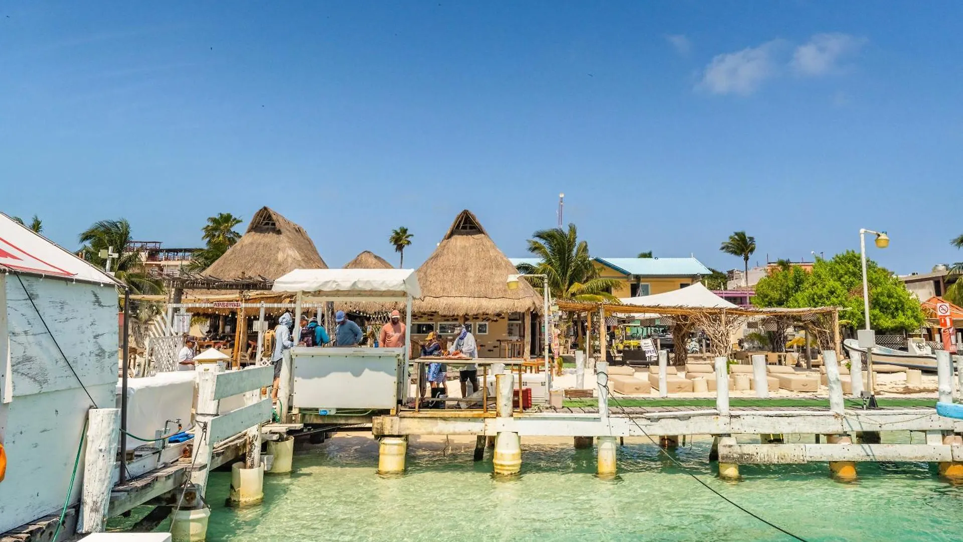 An Island Of Your Own On The Island - The Elegance Apartment Isla Mujeres